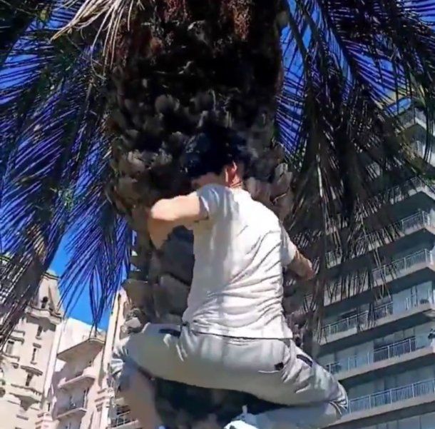 El video de un therian de 38 años que se autopercibe mono reavivó el debate en redes