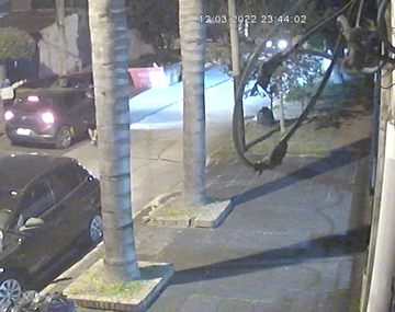 Estremecedoras imágenes de un robo: casi mata a un amigo con la puerta del auto