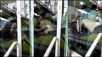 insolito: trompadas entre jugadores y dirigentes de gimnasia en el clasico insolito: trompadas entre jugadores y dirigentes de gimnasia en el clasico