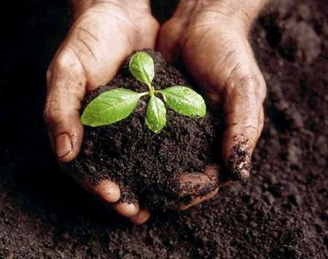 Ecologia