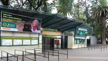 exigen el cierre del zoo tras la muerte del oso polar exigen el cierre del zoo tras la muerte del oso polar
