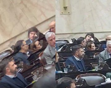 Milei se durmió durante la sesión que trata Ganancias y es tendencia