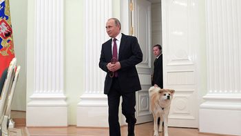 El perro de Vladimir Putin El perro de Vladimir Putin