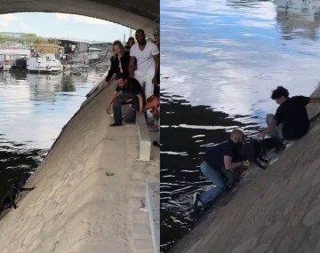 Viral: así fue el dramático rescate de un perro que cayó al río Sena en París