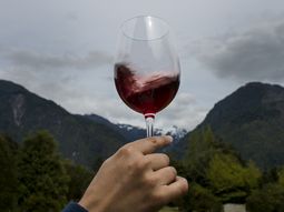 Los mejores vinos Los mejores vinos