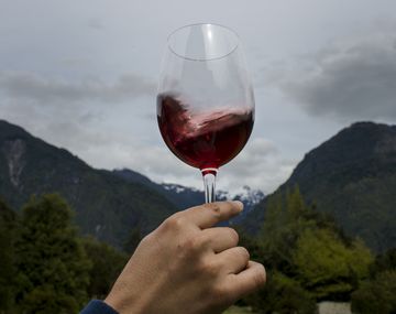 Los mejores vinos