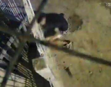Uno de los delincuentes murió en el lugar
