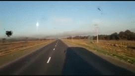 video: las langostas avanzan sobre los campos en el chaco