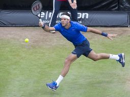 del potro debuta en el cesped de queens frente al complicado isner del potro debuta en el cesped de queens frente al complicado isner