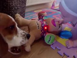 la convivencia de una beba y un perro la convivencia de una beba y un perro