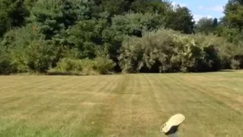 todo puede fallar: mira los mejores bloopers todo puede fallar: mira los mejores bloopers