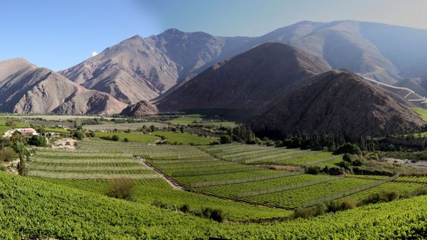 Pisco Elqui destaca por sus terapias alternativas.&nbsp;