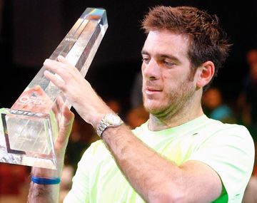 Juan Martín Del Potro logró en Viena su tercer título del año