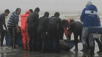 Foto: Francisco Magliolo. Foto: Francisco Magliolo.