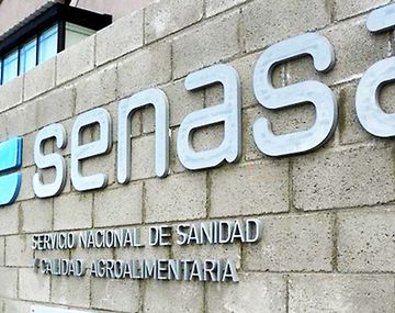 La medida de fuerza en el Senasa frenará las exportaciones durante 48 horas: cuándo