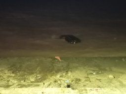 una mujer le dio arranque a una camioneta y el vehiculo termino dentro del rio de la plata una mujer le dio arranque a una camioneta y el vehiculo termino dentro del rio de la plata