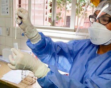 Salta confirmó cinco nuevos casos de variantes de coronavirus