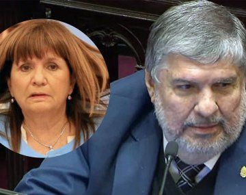 Patricia Bullrich y José Mayans.