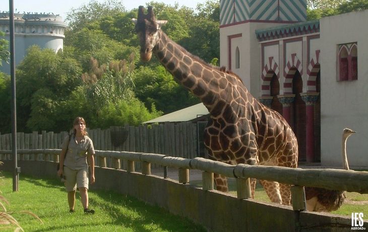 Descartan el cierre del zoo porteño