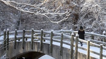 ee.uu. padece su jornada mas helada en cuatro decadas ee.uu. padece su jornada mas helada en cuatro decadas