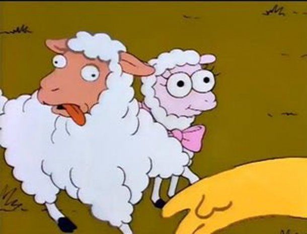 Memes y reacciones por el ingreso de dos perritos a Gran Hermano