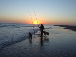 Cazó a un delfín, lo paseó en su cuatriciclo y después lo comió 