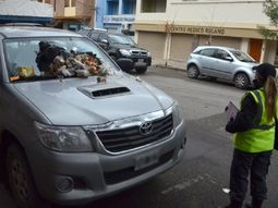 El conductor de la Hilux tuvo su escarmiento El conductor de la Hilux tuvo su escarmiento