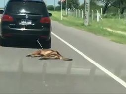 VIDEO: Ató un perro a su auto y lo arrastró por varios kilómetros