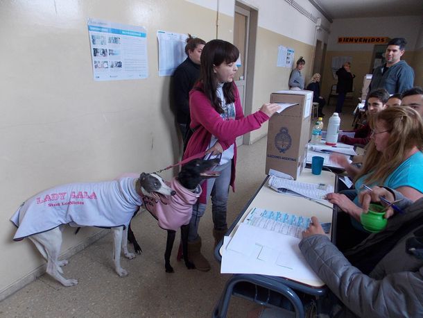 Paola Bafundo fue a votar con dos perras galgo 