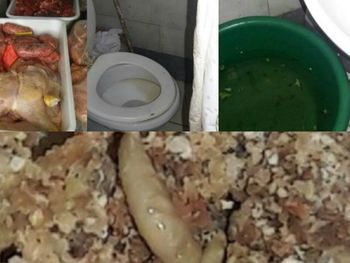 Gusanos en una cortadora de carne