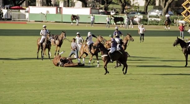 Conmoción en el mundo del polo: una yegua murió en la final del Abierto de Palermo