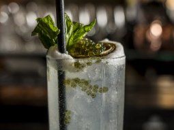 Día del Mojito, un clásico vigente: dónde saborear los más ricos en Buenos Aires