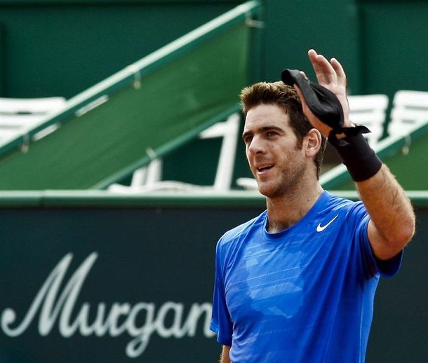 Juan Martín del Potro