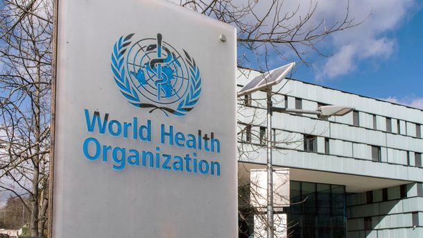 La OMS calificó al virus Nipah como de bajo riesgo global