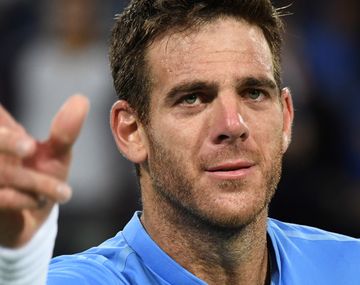 Hasta las lágrimas: la emoción de Del Potro tras la clasificación a semis