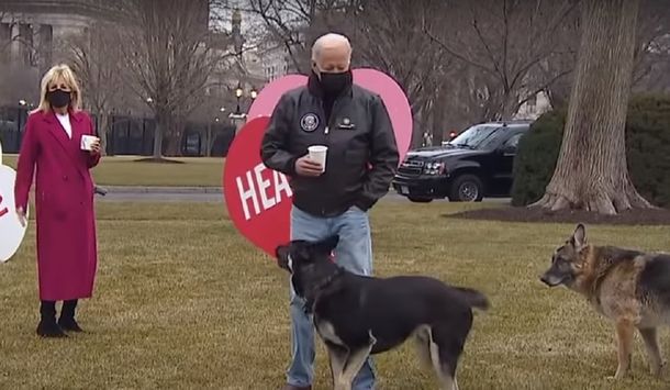Los perros de Biden debieron dejar la Casa Blanca porque uno mordió a un seguridad