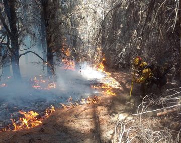 Chubut espera lluvias en medio de la preocupación: se reactivaron los incendios