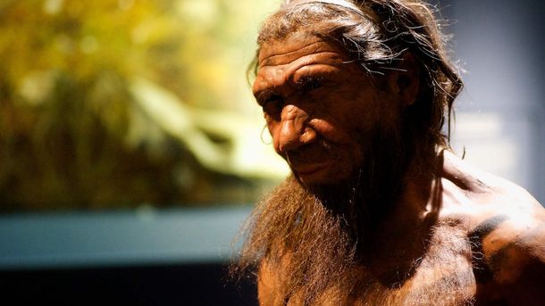 Un estudio revela que el mayor factor de riesgo para el coronavirus viene de los neandertales