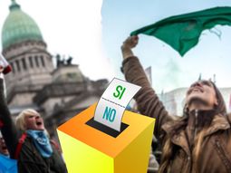 Una consulta popular vinculante, la opción que analizan los defensores de la legalización del aborto