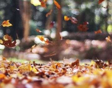 Otoño llegó con buen clima.