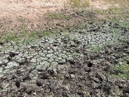 La sequía afecta gravemente a más de un 60% del país. La sequía afecta gravemente a más de un 60% del país.