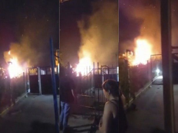 incendio-ratas