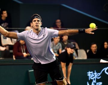 Del Potro está en cuartos de París y quedó a un triunfo del Masters de Londres