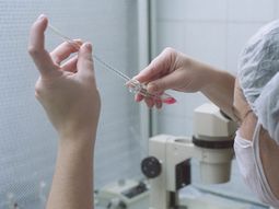 Usará óvulos congelados de su hija muerta