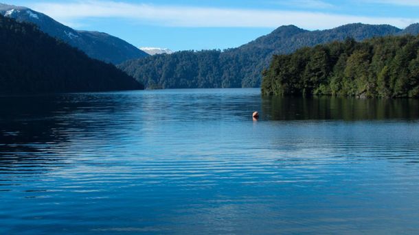 Los Siete Lagos incluye a Calafquén, Pullinque, Pellaifa, Neltume, Pirehueico, Panguipulli y Riñihue. Los Siete Lagos incluye a Calafquén, Pullinque, Pellaifa, Neltume, Pirehueico, Panguipulli y Riñihue.