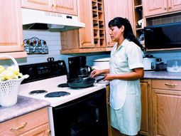 aumenta un 33% el sueldo del personal domestico aumenta un 33% el sueldo del personal domestico