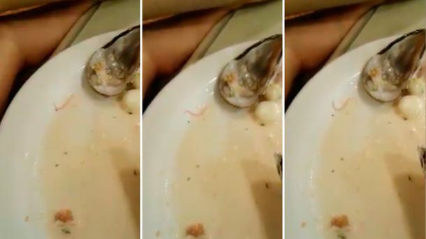 Una mujer pidió cebiche en un restaurante y encontró un gusano