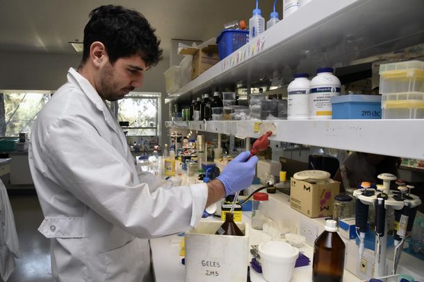 Entró en la etapa final el desarrollo de la vacuna argentina contra el Covid-19