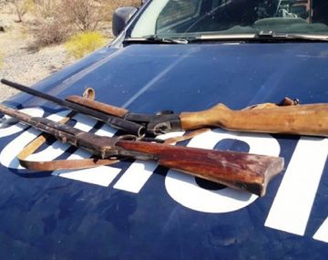 Crédito:&nbsp;www.sitioandino.com.ar