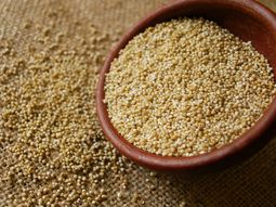 la anmat incorporo a la quinoa al codigo alimentario argentino la anmat incorporo a la quinoa al codigo alimentario argentino
